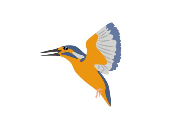 Alcedinidae Face Left Bird Animal: A Designer's Guide