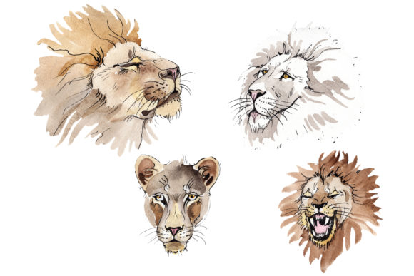 Animal Lion Watercolor: Unleash Wild Elegance in Your Designs