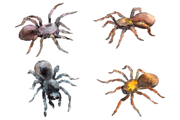 Animal Tarantula Watercolor: A Wildly Unique Design Asset