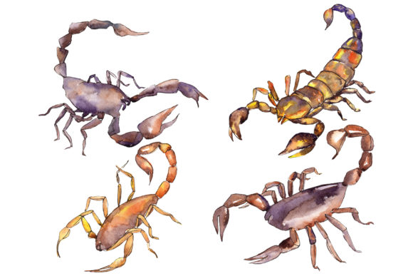 Animal World Scorpion Watercolor: A Bold Design Asset
