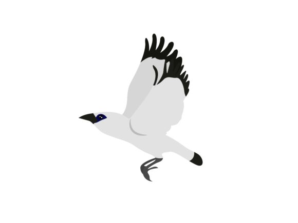 Bali Starlings Bird: A Visual Guide to Nature's Design