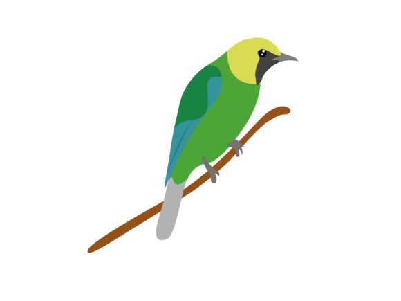 Chloropsis Sonnerati: The Vibrant Bird for Your Design Projects