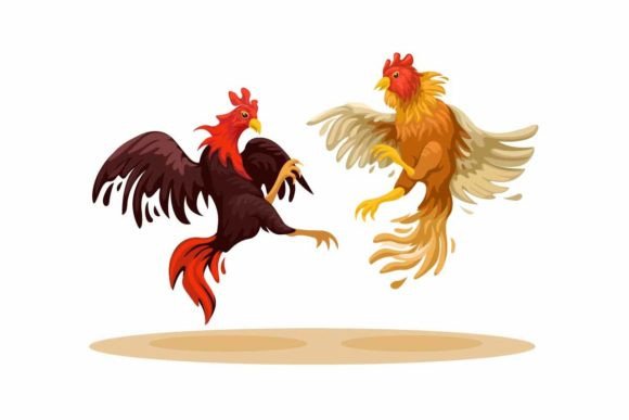 Cockfight Traditional Animal Fight Game: A Designer's Guide
