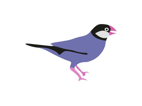 Finces Bird Animal: A Creative Asset for Modern Projects