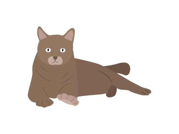 Scottish Fold Cat Sit Animal: A Designer's Charming Illustration Asset