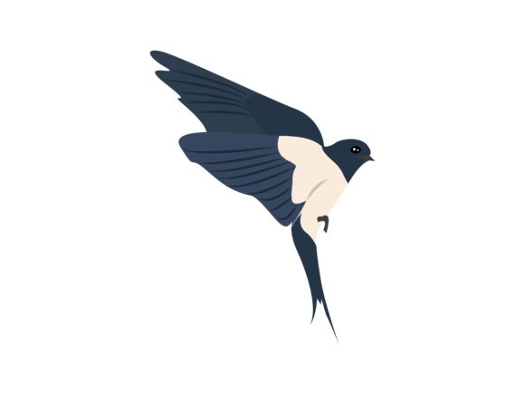 Swallow Flaying Face Right Bird Animal: A Dynamic Design Asset