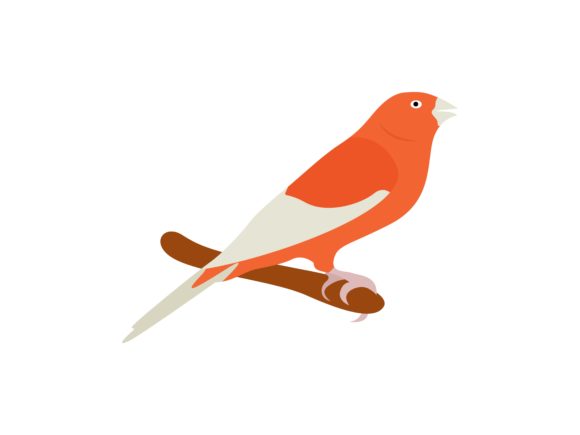 The Allure of Red Vactor Bird Animal: A Designer's Asset Guide