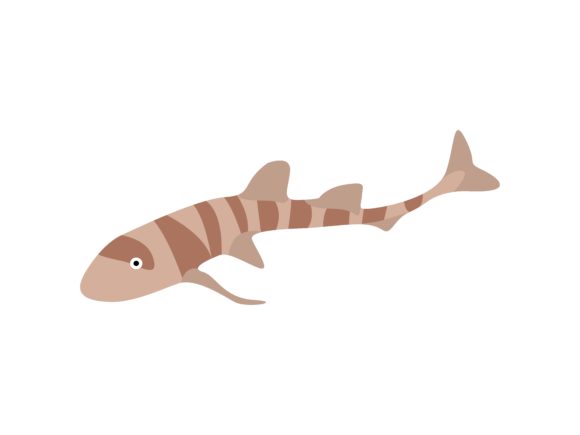 The Allure of the Sand Fish Animal: A Designer's Guide