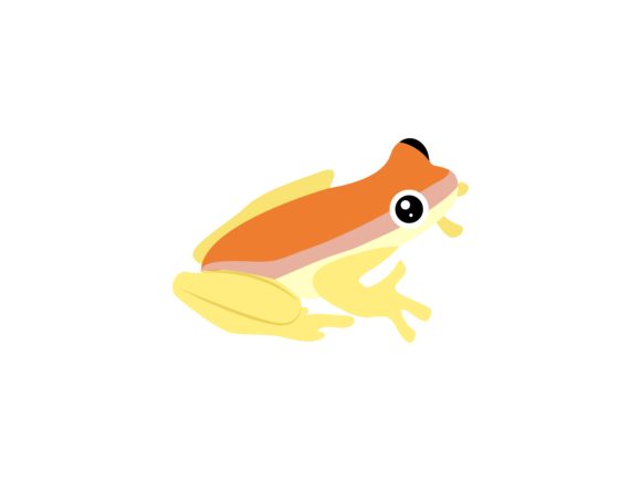 The Granular Poison Frog: A Vibrant Icon for Modern Design
