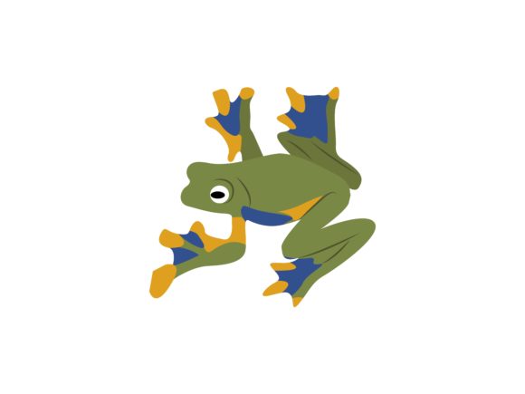The Vibrant Appeal of Red Eye Tree Frog Animal Illustrations