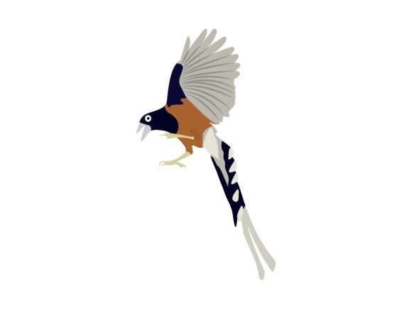 Unleashing the Magpie Stone Face Left Bird Animal Illustration
