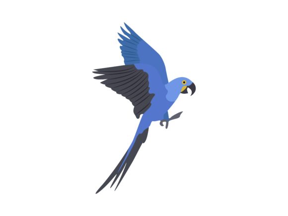 Visualizing the Hyacinth Macaw: A Creative Asset Guide