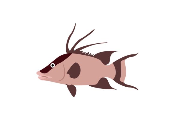Wreach Fish Animal: A Creative Asset for Modern Projects